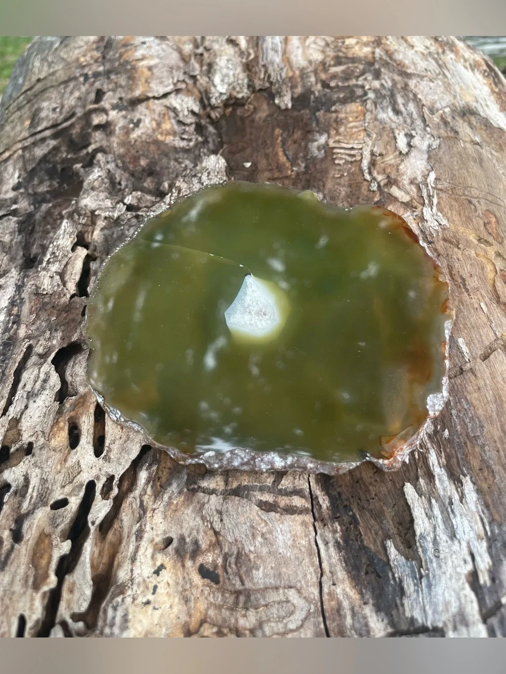 Vintage polished olive